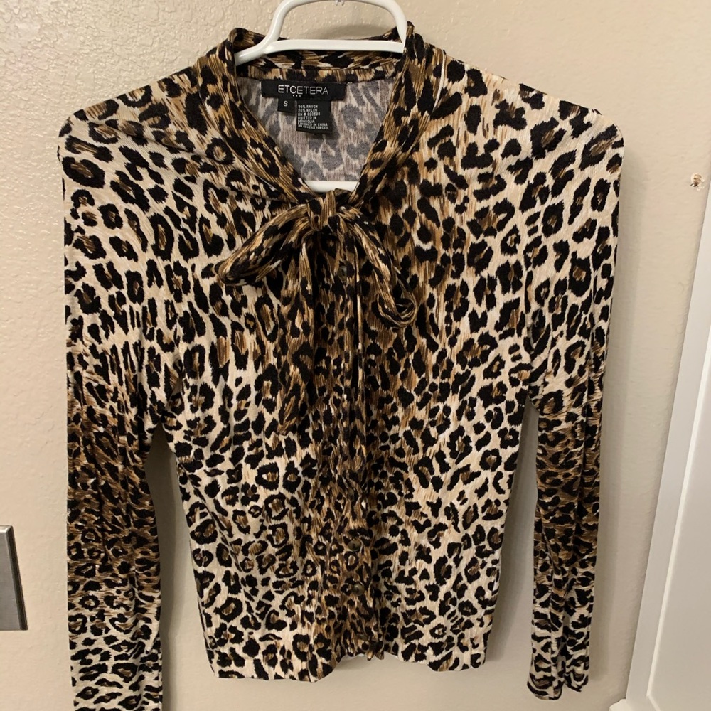 Cheetah print sweater